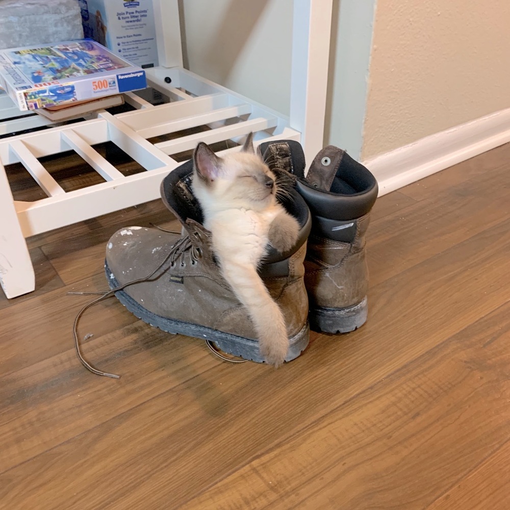 Bean the Destroyer
